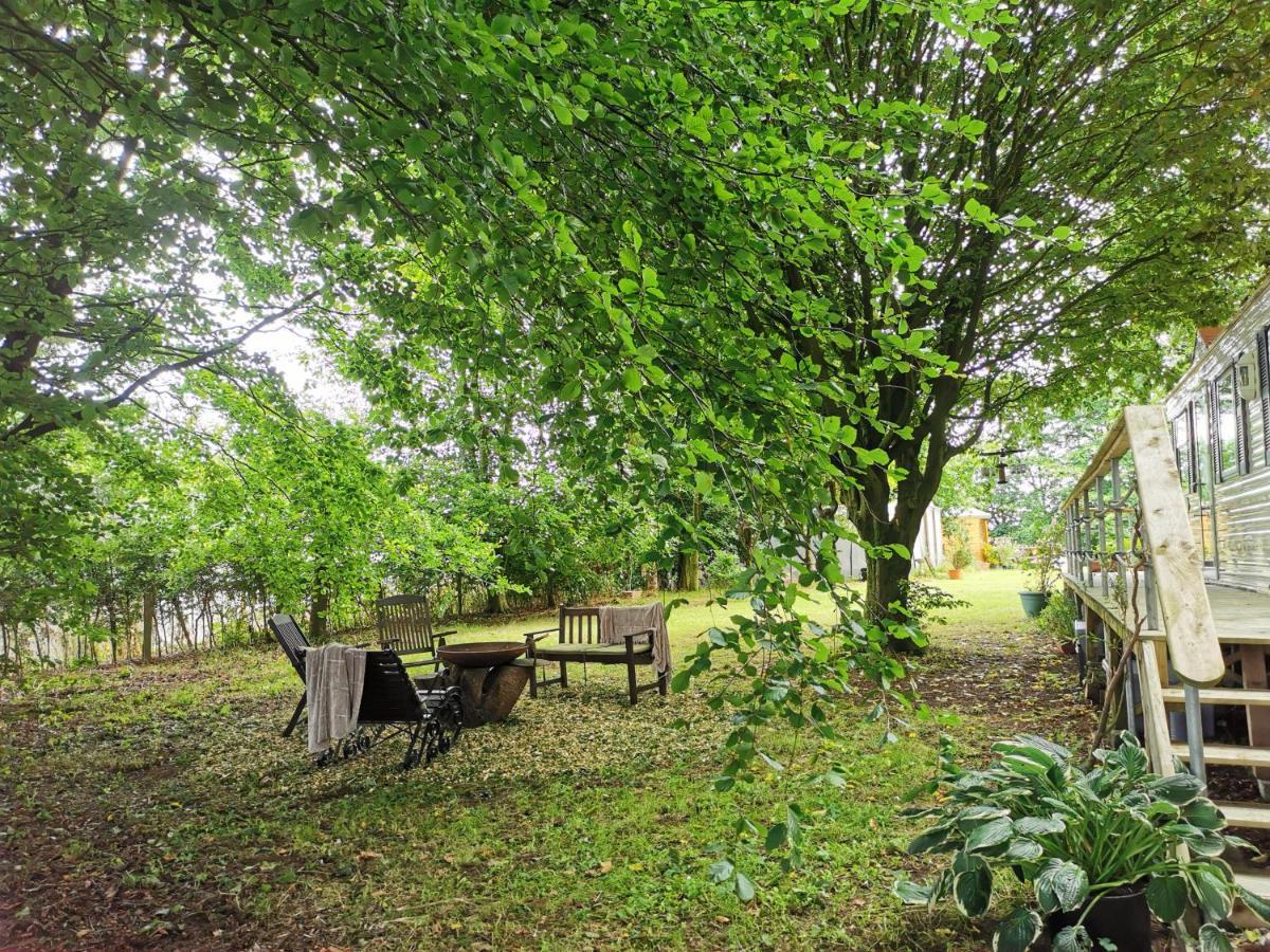 Doughery Den The Dark Hedges Hideaway Armoy Exteriér fotografie