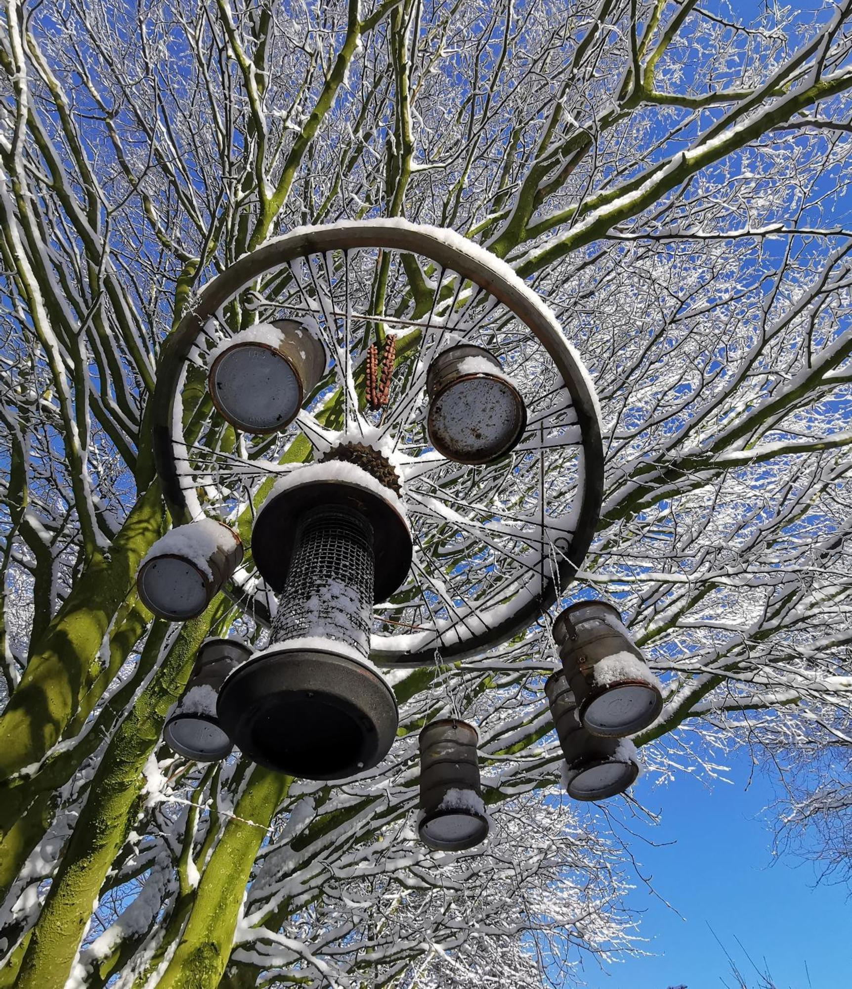 Doughery Den The Dark Hedges Hideaway Armoy Exteriér fotografie