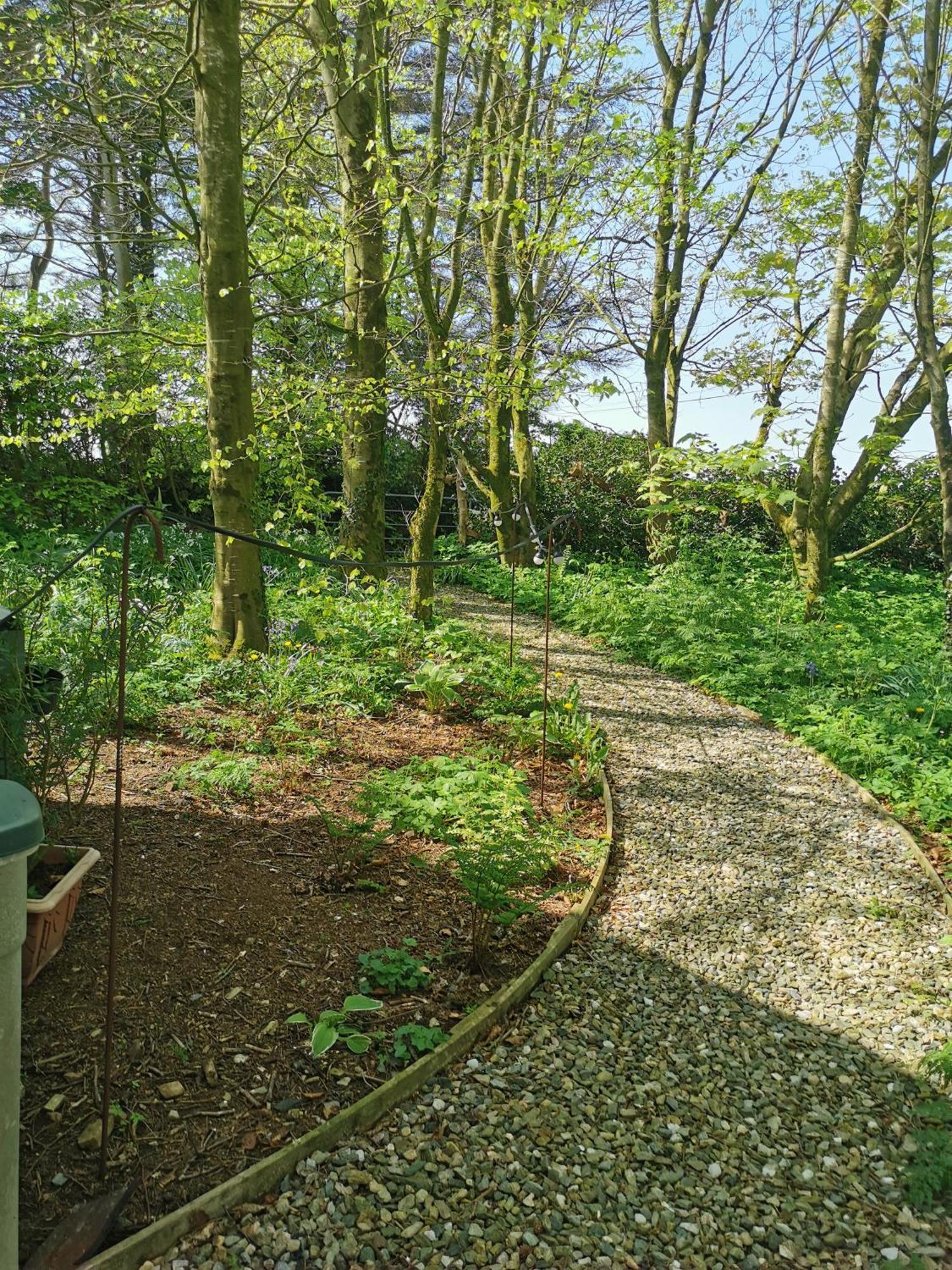 Doughery Den The Dark Hedges Hideaway Armoy Exteriér fotografie
